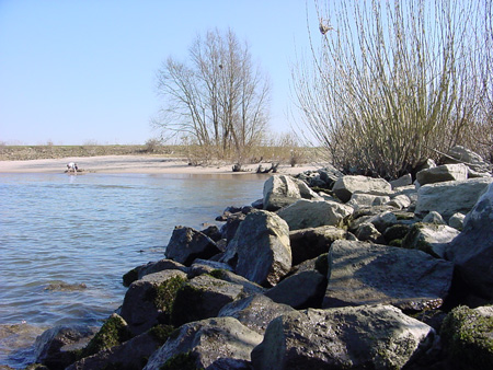 uiterwaarden wamel