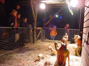 Kijken bij de kerststal.